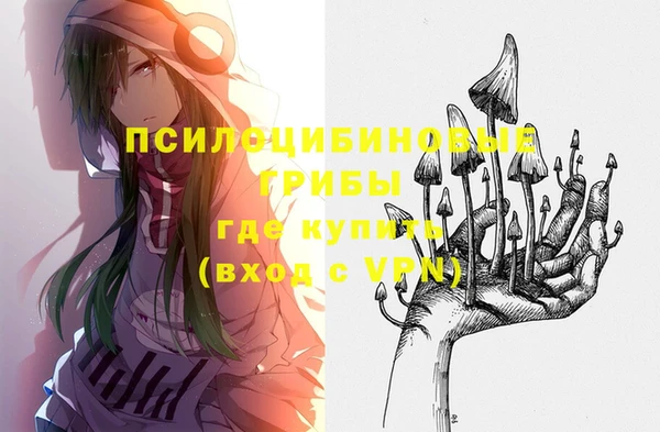 не бодяженный Алексин